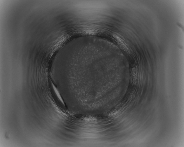 X0000097840500200804041447