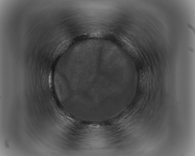 X0000097840502200804041447