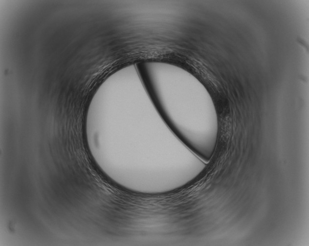 X0000097840505200804041447