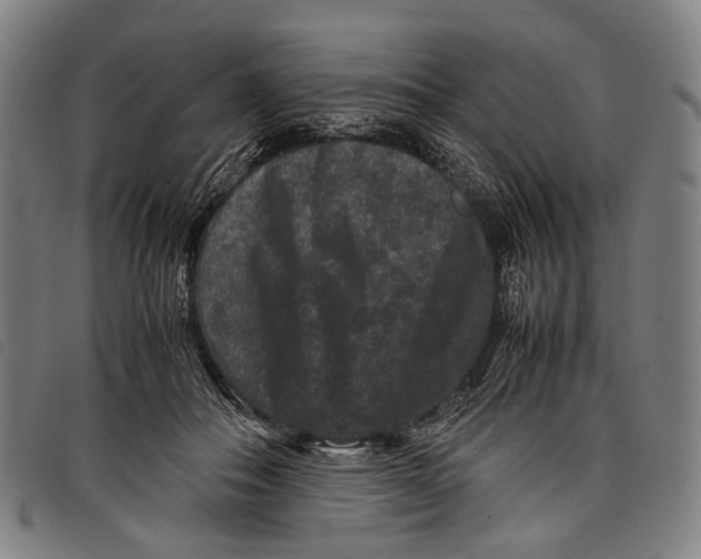 X0000097840506200804041446