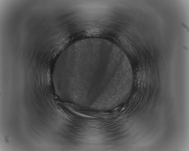 X0000097840508200804041446