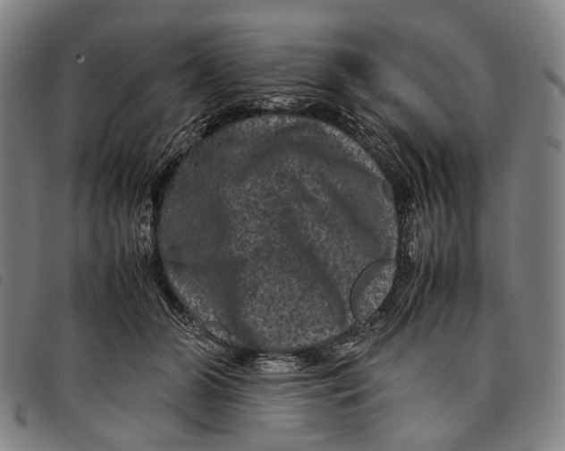 X0000097840510200804041446