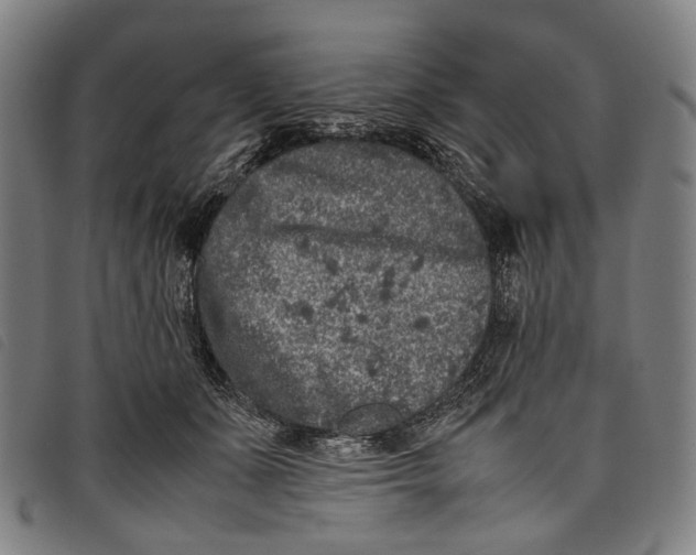 X0000097840511200804041446