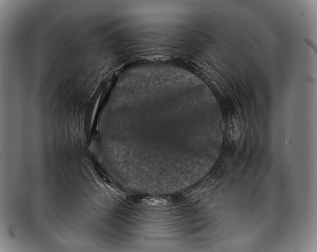 X0000097840512200804041446