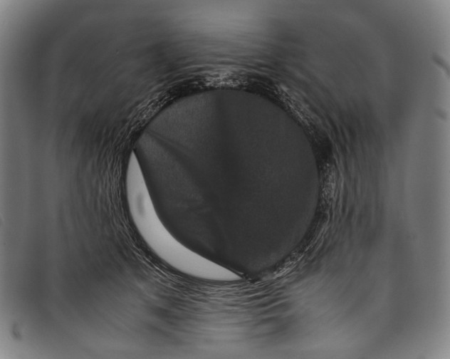 X0000097840513200804041446