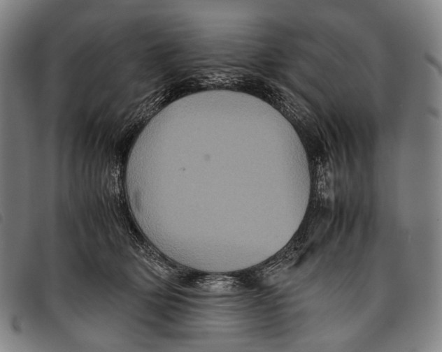 X0000097840514200804041446