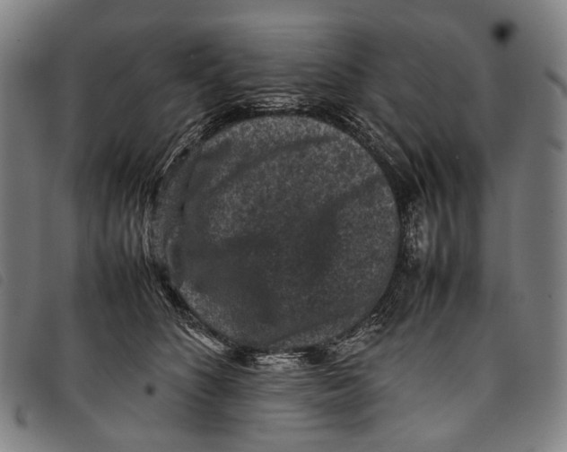 X0000097840516200804041446