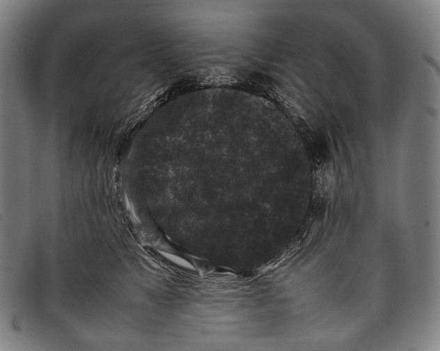 X0000097840517200804041446