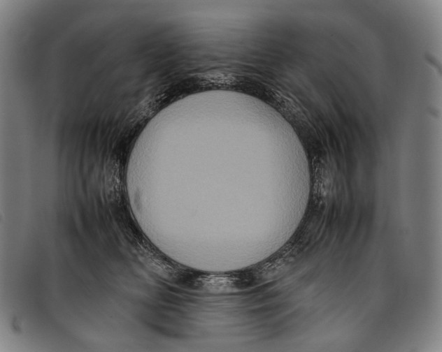 X0000097840518200804041446