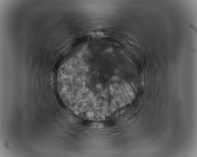 X0000097840519200804041446