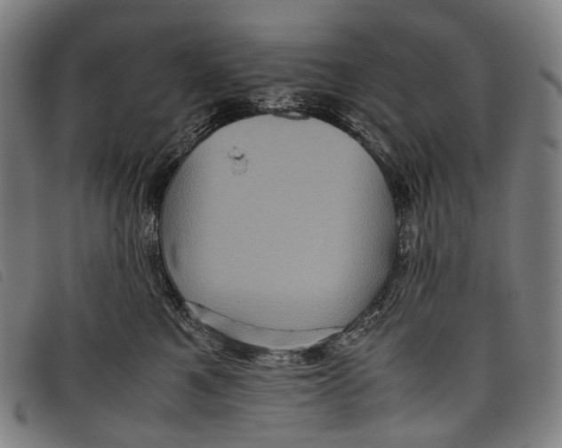X0000097840521200804041446