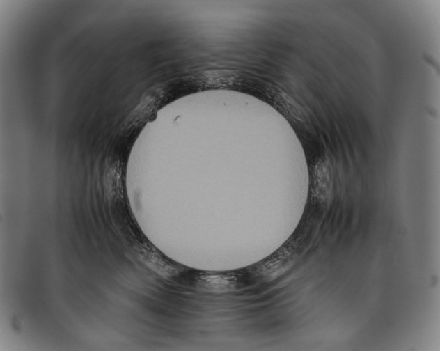 X0000097840522200804041446