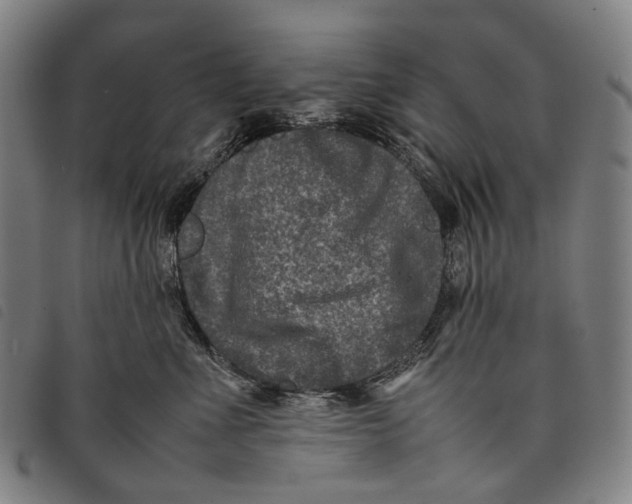 X0000097840523200804041446