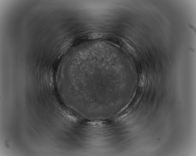 X0000097840524200804041446