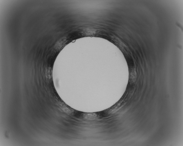 X0000097840525200804041446