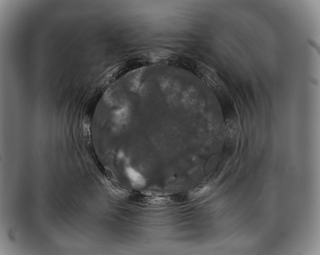 X0000097840527200804041446