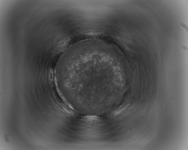 X0000097840528200804041446