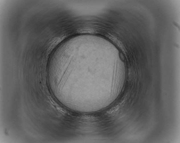X0000097840529200804041445