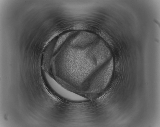 X0000097840530200804041445