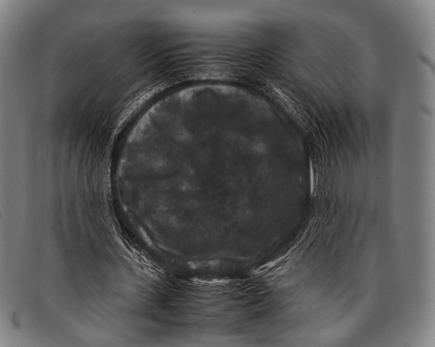 X0000097840531200804041446