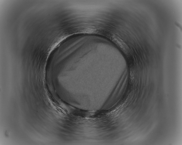 X0000097840532200804041446