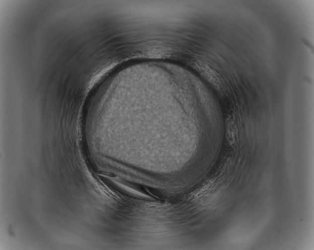X0000097840536200804041446
