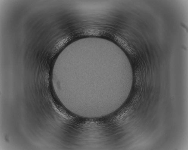 X0000097840538200804041446