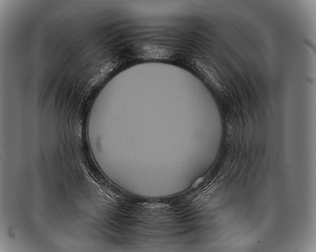 X0000097840539200804041446