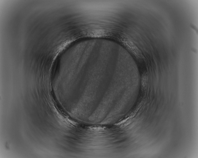 X0000097840540200804041446
