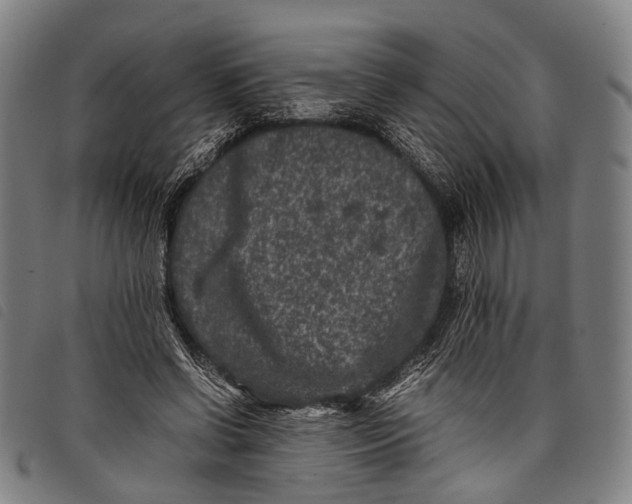 X0000097840542200804041446