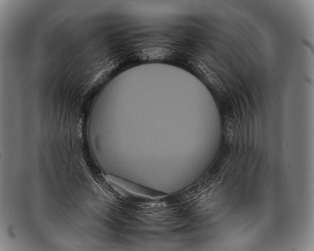 X0000097840543200804041446