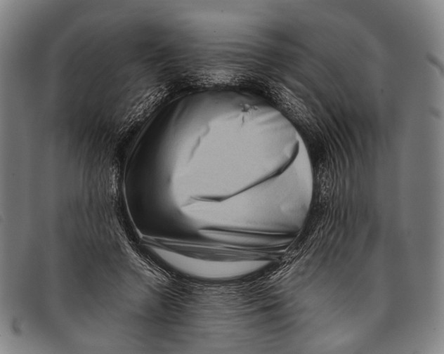 X0000097840546200804041446