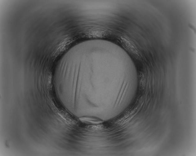 X0000097840548200804041446