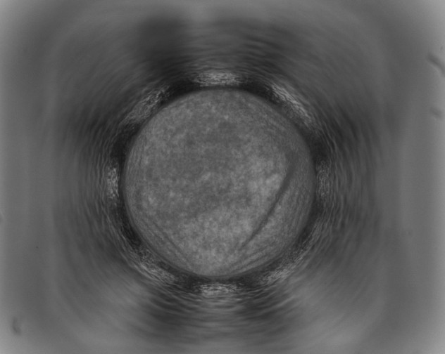 X0000097840549200804041446