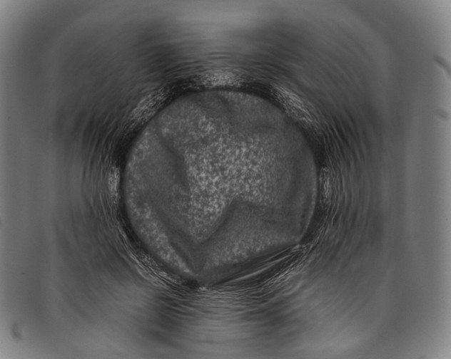 X0000097840550200804041446