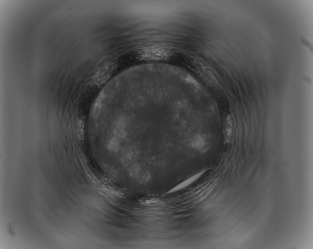 X0000097840551200804041446