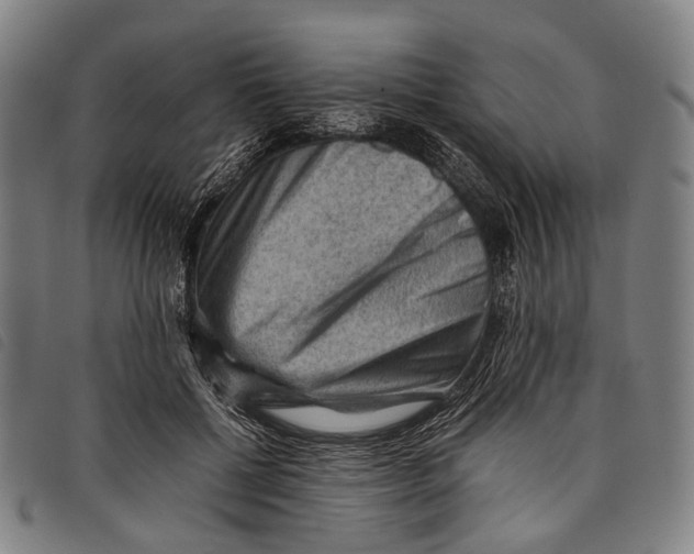 X0000097840552200804041446
