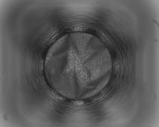 X0000097840554200804041446
