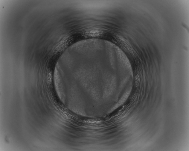 X0000097840555200804041446