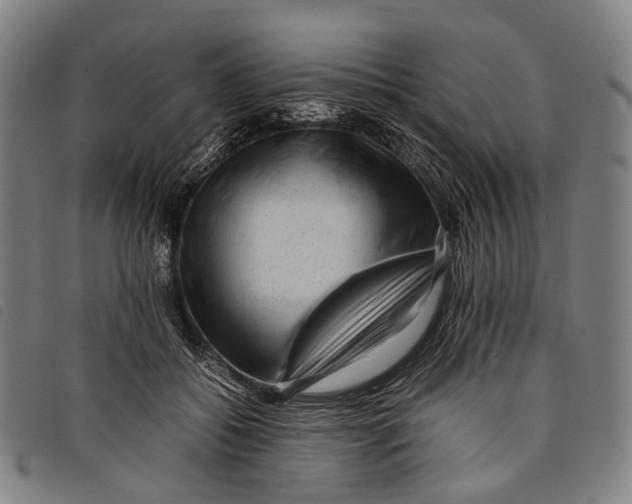 X0000097840556200804041446