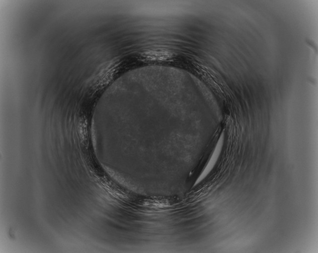 X0000097840559200804041446