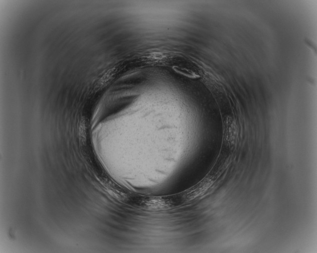 X0000097840562200804041446