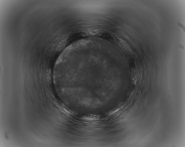 X0000097840563200804041446