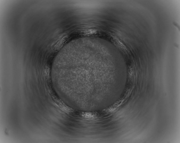 X0000097840565200804041446