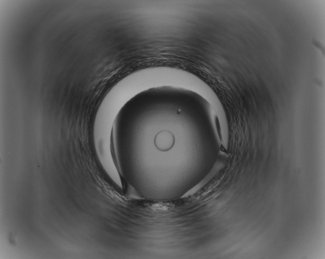 X0000097840566200804041446