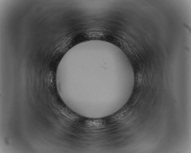 X0000097840567200804041446