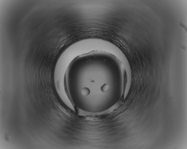 X0000097840568200804041446