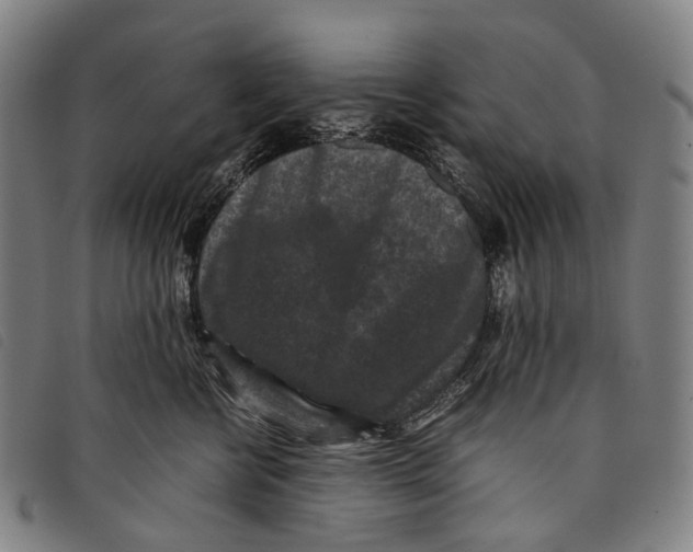 X0000097840570200804041446