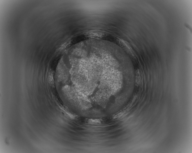 X0000097840573200804041446
