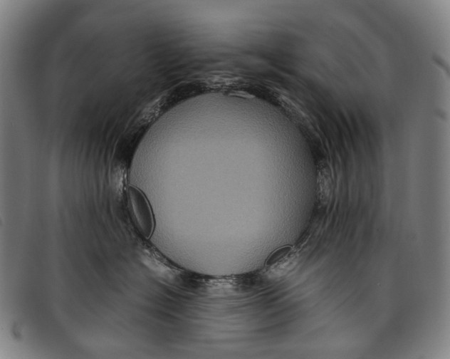 X0000097840574200804041446